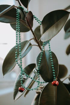 Eye-catching beaded ornament draped over glossy rubber plant leaves.