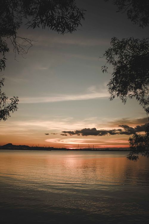 Free A tranquil scene of the ocean at sunset, framed by silhouetted trees, creating a peaceful atmosphere. Stock Photo
