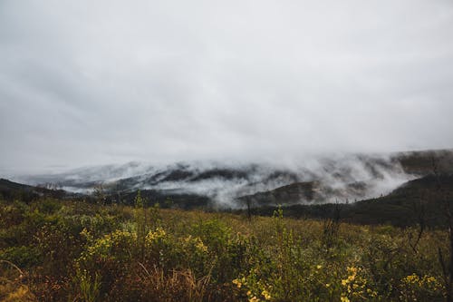 Kostnadsfri bild av bakgrund, berg, dimma