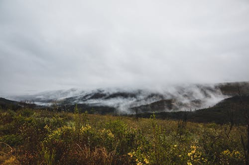 Gratis arkivbilde med bakgrunn, fjell, landskap