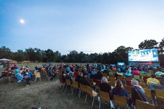 A large group enjoys a movie outdoors at night in a field with a big screen under the moon.