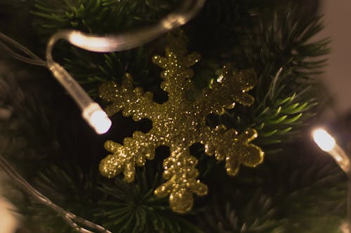 Бесплатное стоковое фото с рождественская елка, рождественское украшение, снежинка