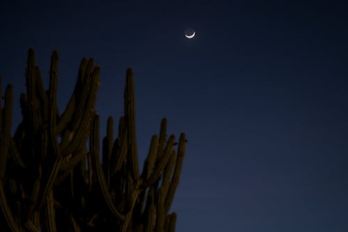 三日月, 夜空, 月の無料の写真素材