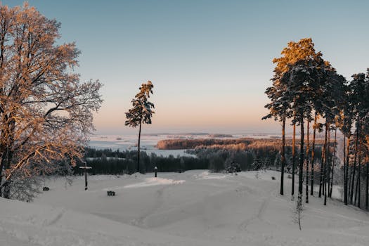 Beautiful winter scene with snow-covered trees and soft sunrise lighting over a vast landscape.