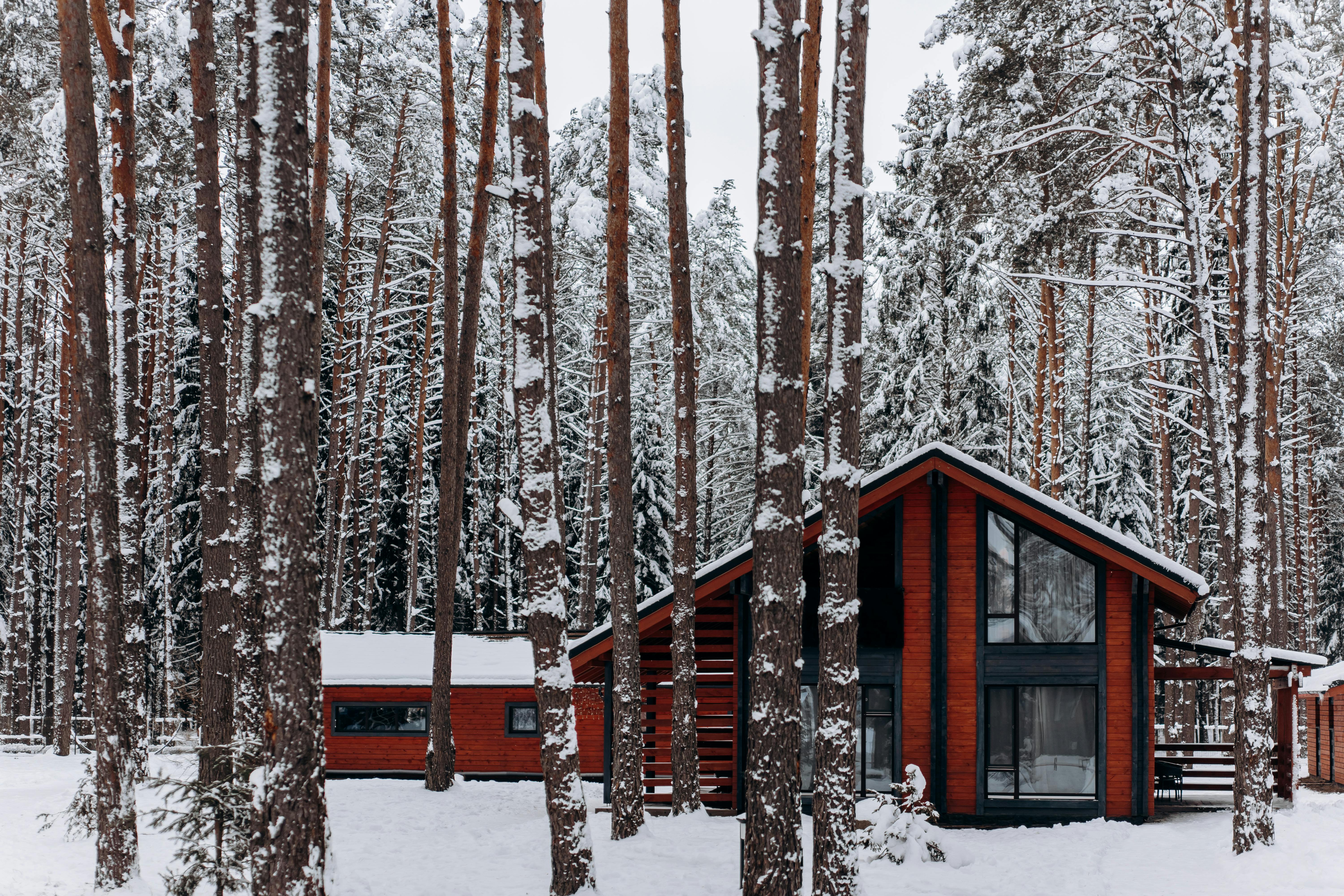 A charming red cabin surrounded by snowy pine trees during winter in a Belarusian forest.