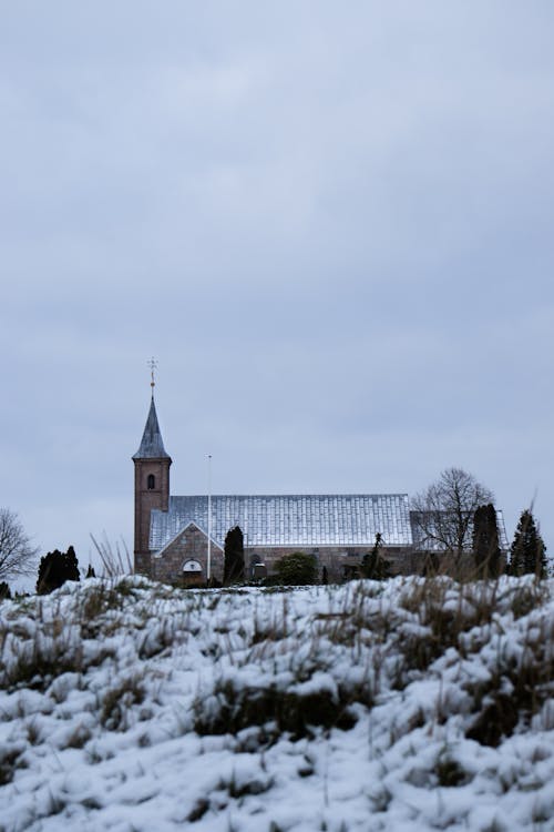 丹麥, 兰德斯, 冬季 的 免费素材图片