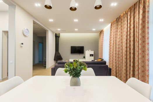 White table with green plants placed near couch against wall with TV set and cupboard near modern fireplace in spacious apartment