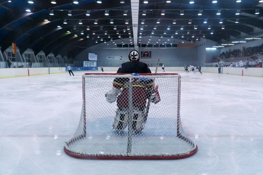 Ottawa Hockey Fans Gear Up for a Thrilling Stanley Cup Final
