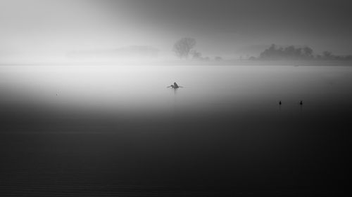 Free A serene foggy lake with a lone rowboat, evoking tranquility and mystery. Stock Photo