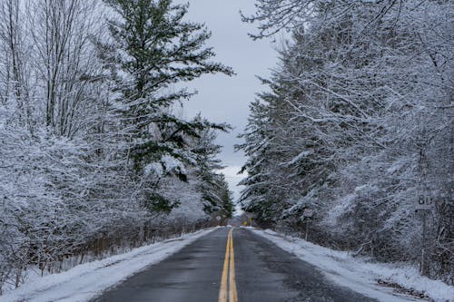 An Empty Road During Winter 