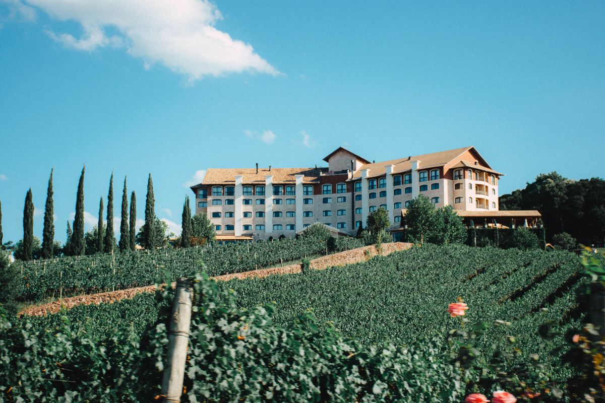 Creation Wines