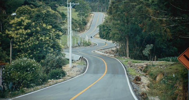 A winding rural road surrounded by lush green forests, perfect for scenic drives.
