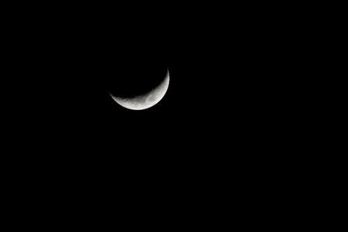 Free The Moon in the Dark Night Sky  Stock Photo