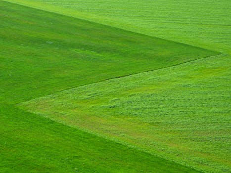 从空中俯瞰，这片充满活力的绿地展现了景观的自然图案与纹理