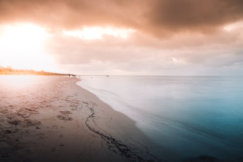 People Walking on Beach during Sunset