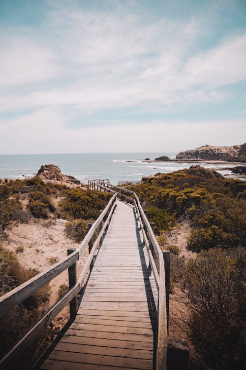 Gratis stockfoto met brug, dek, dok