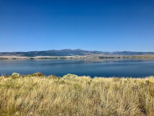 View of a Grass and Lake 