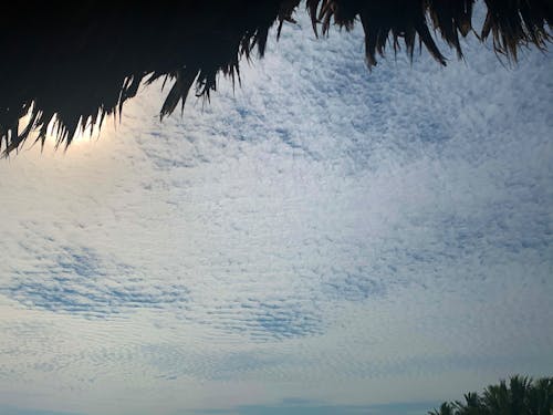 Foto profissional grátis de atardecer, céu azul, formação de nuvens