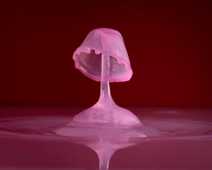 Artistic close-up of a pink liquid splash resembling a mushroom shape.