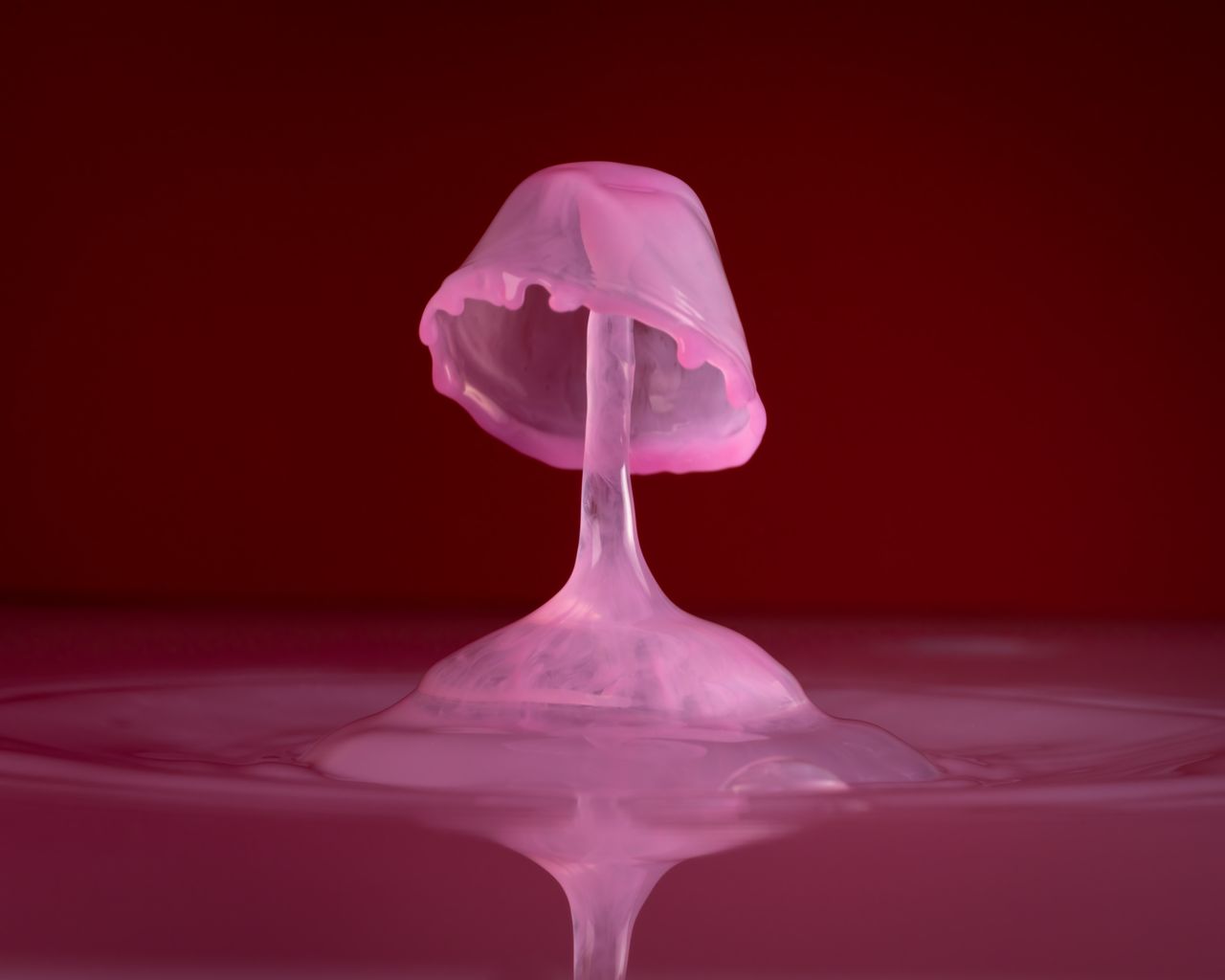 artistic close up of a pink liquid splash resembling a mushroom shape