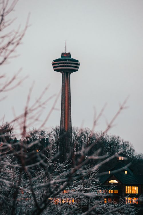 Free The Skylon Tower stands prominently against a winter backdrop with leafless trees and glowing lights at twilight. Stock Photo