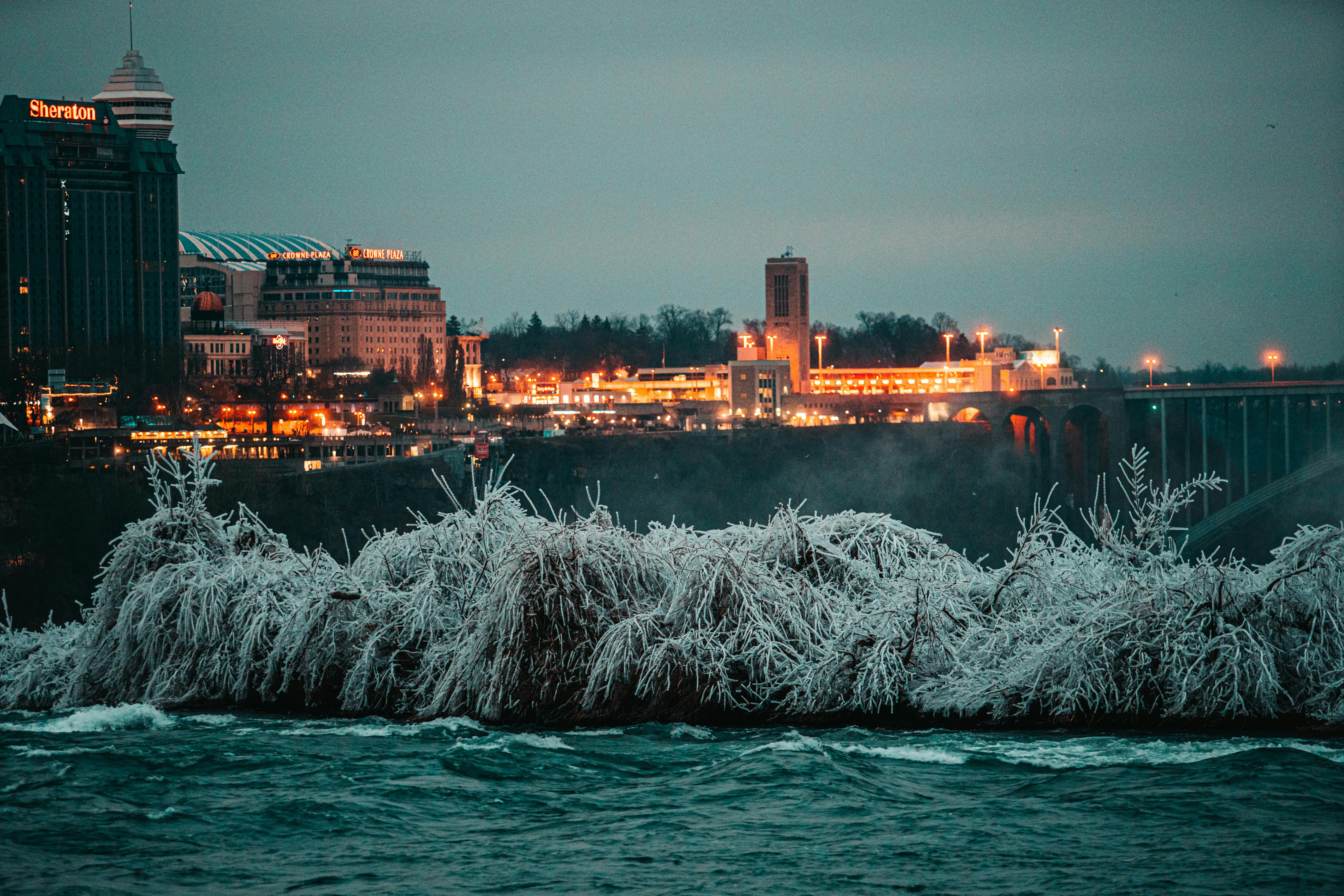 Breathtaking winter scene of Niagara Falls with a view of icy trees and illuminated cityscape at twilight.