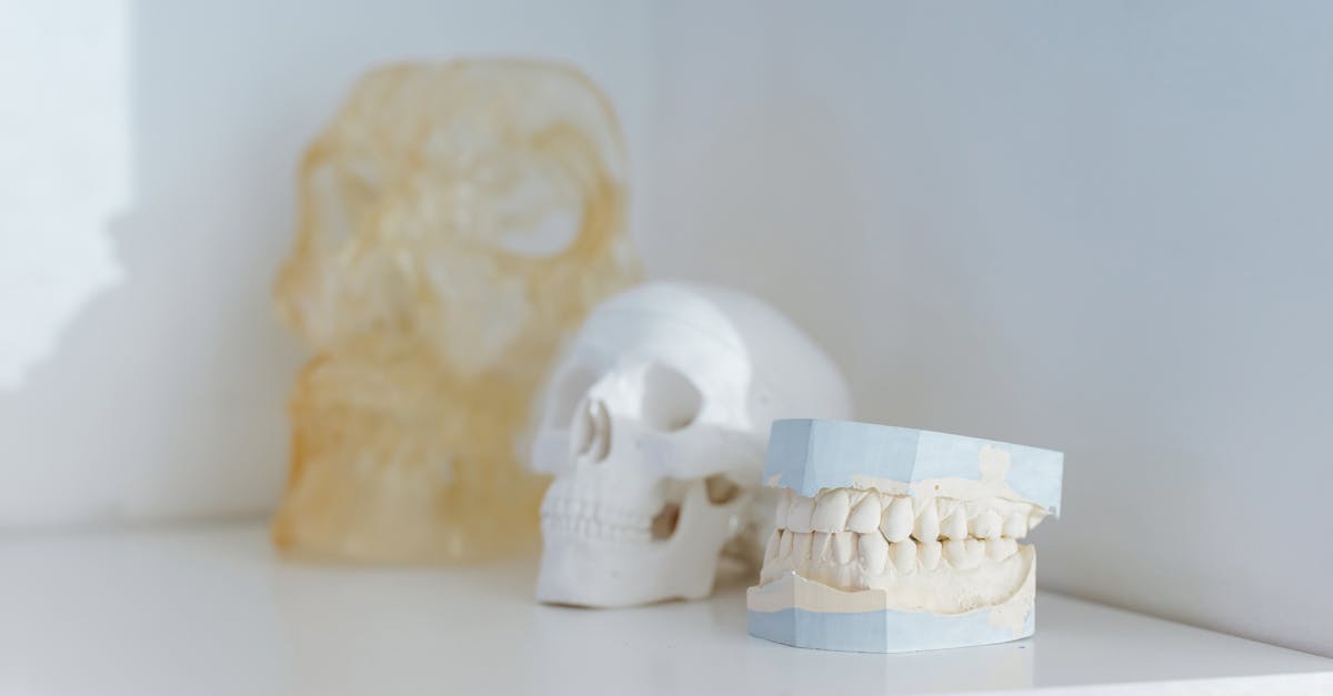 鈺緯科技首度亮相Mini LED醫療顯示器,展現醫療科技新利器