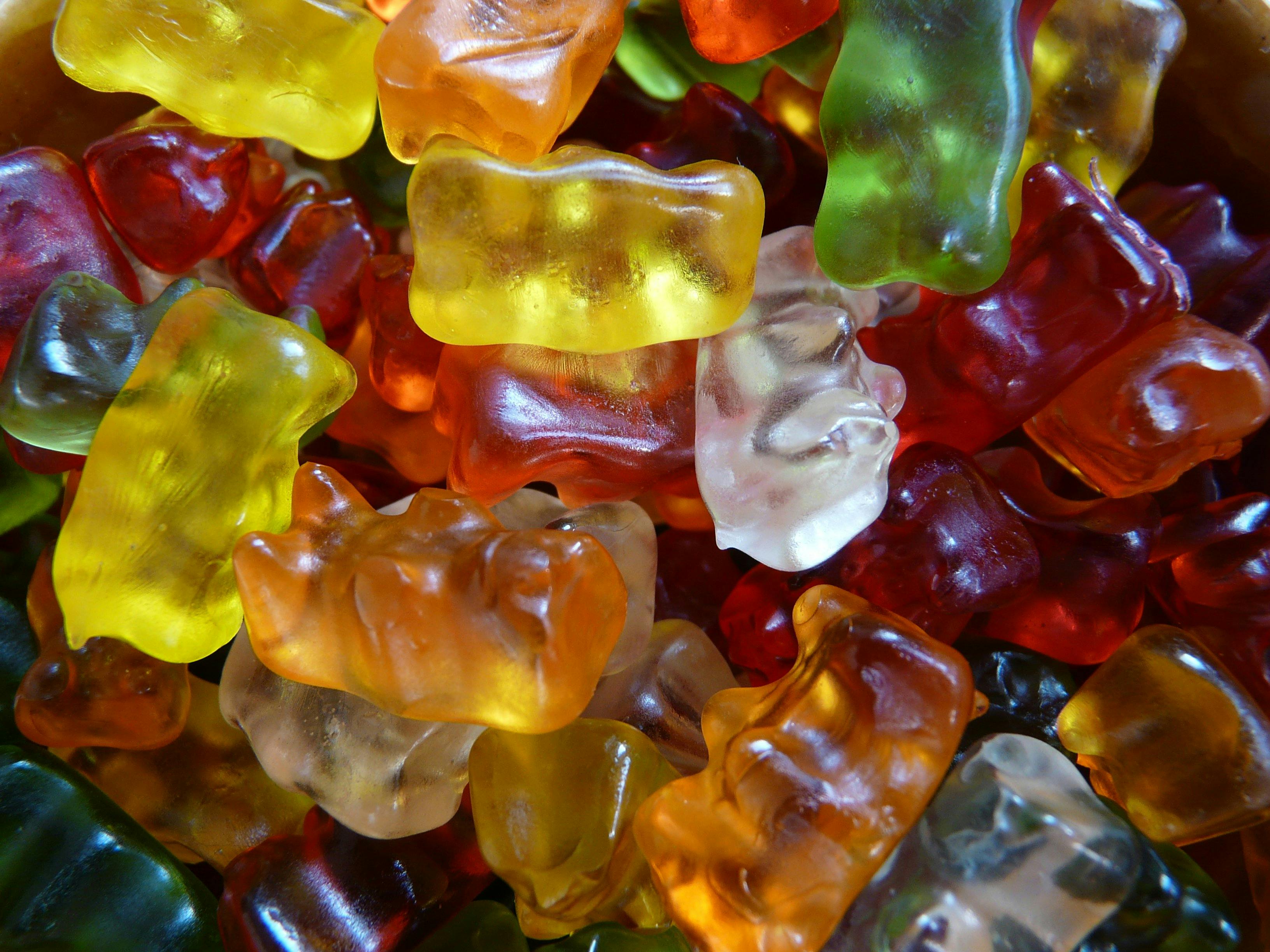 Assorted-color Gummy Bears \u00b7 Free Stock Photo