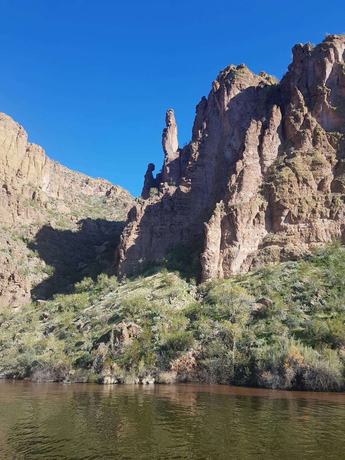 Orthodontics (Braces & Aligners) photo 2