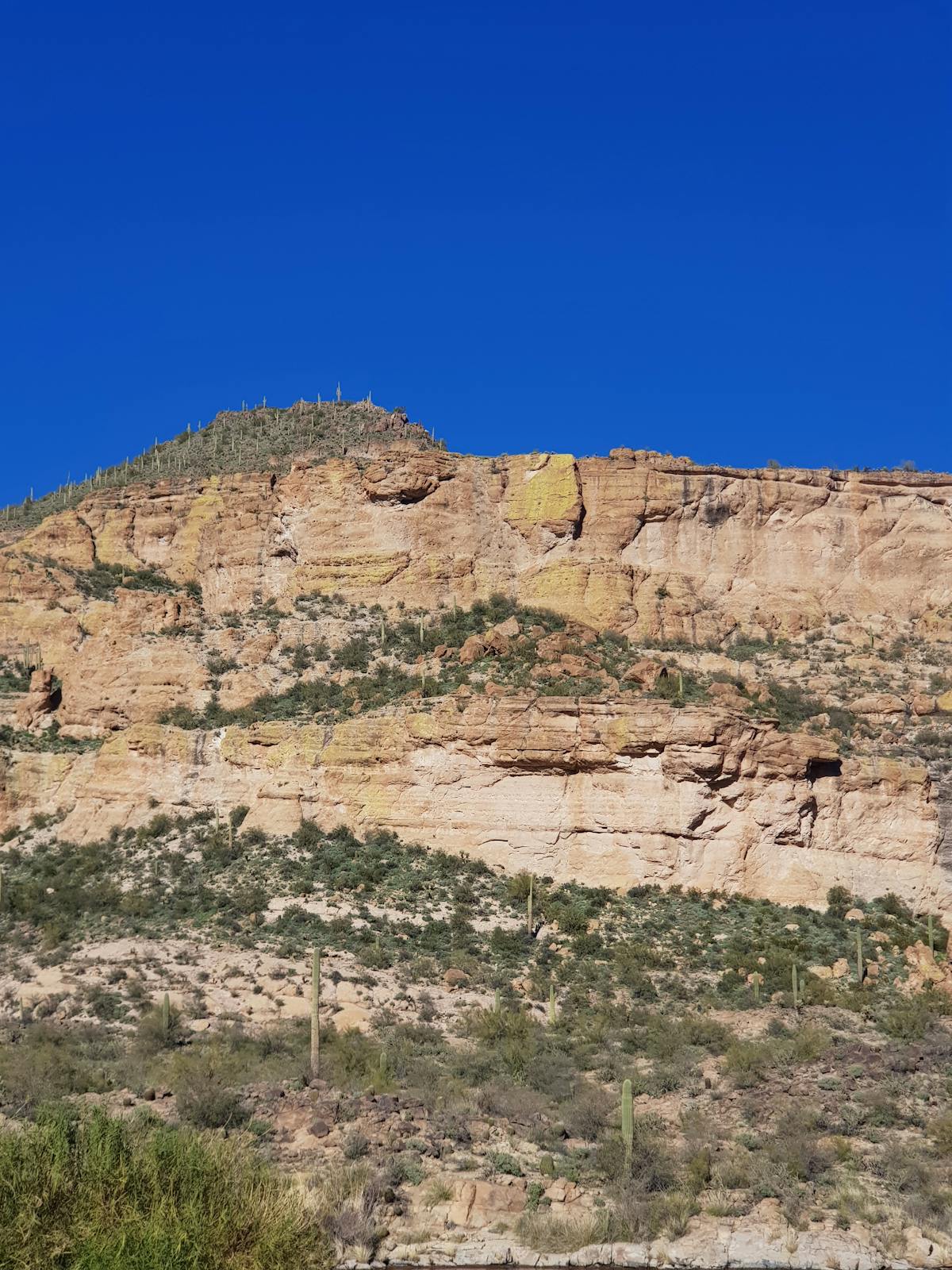 Orthodontics (Braces & Aligners) photo 3