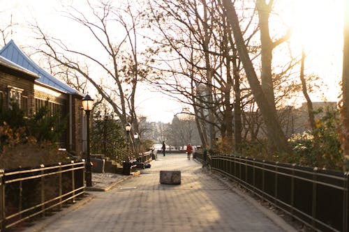 Immagine gratuita di east river, lato est superiore, manhattan