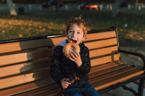 Free Kid Sitting on a Wooden Bench eating  a Bagel  Stock Photo