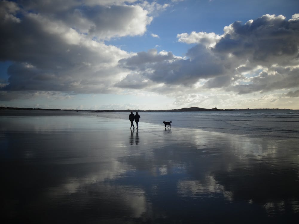 무료 두 사람이 해변을 걷고 스톡 사진