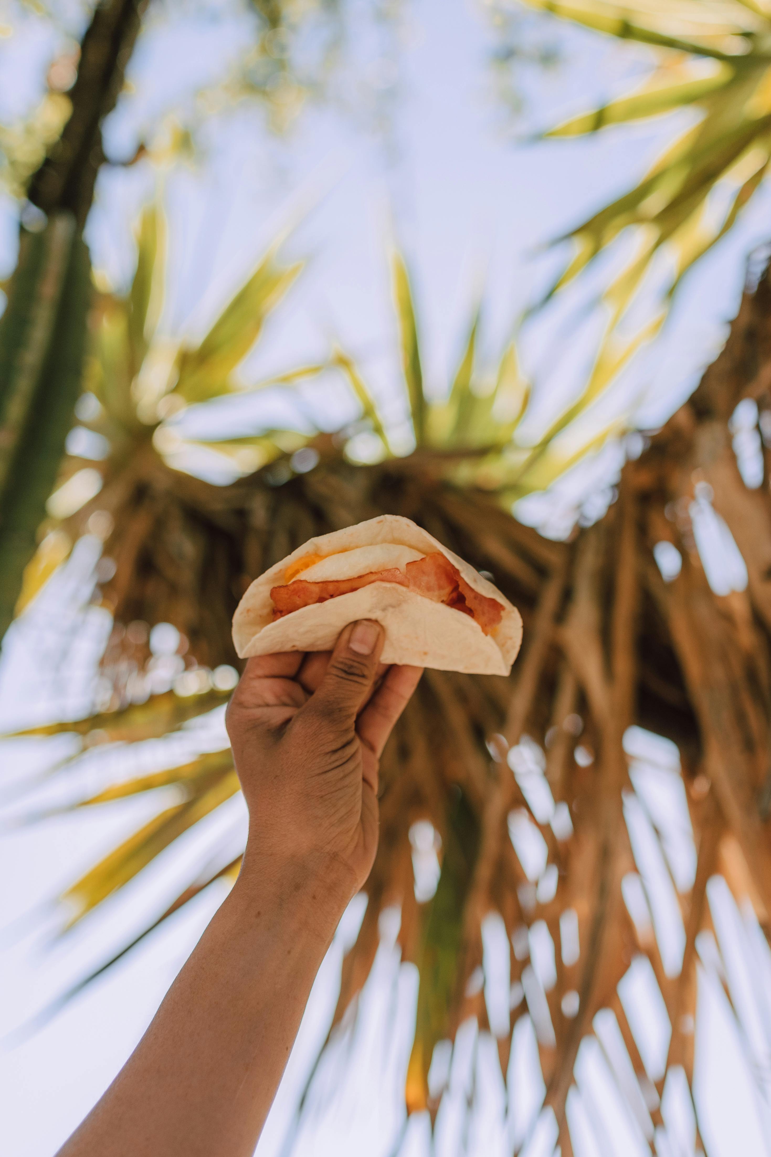 person holding a vegan tacos