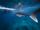 whale shark