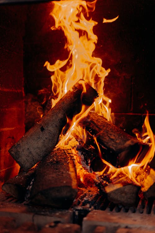 Free Burning Wood on Fire during Nighttime Stock Photo