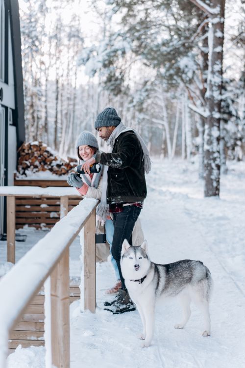 Free Couple enjoying winter with their Siberian husky at a snowy cabin. Stock Photo