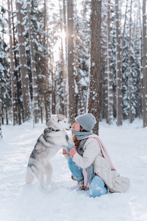 Free A woman in winter attire embraces a Siberian Husky in a snowy forest. Stock Photo