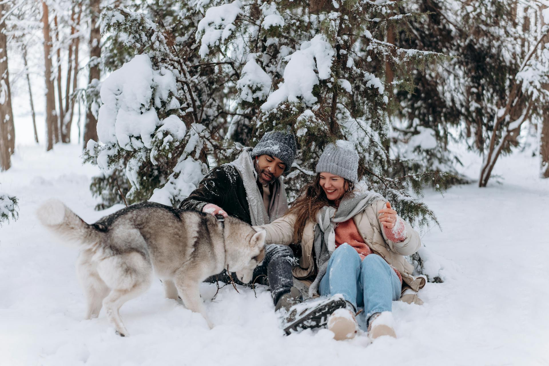 A Couple Playing with Their Dog in the Snow