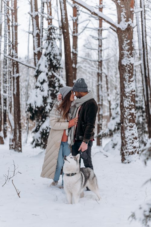 Free A loving couple embraces with their husky dog in a snowy forest, showcasing winter romance. Stock Photo