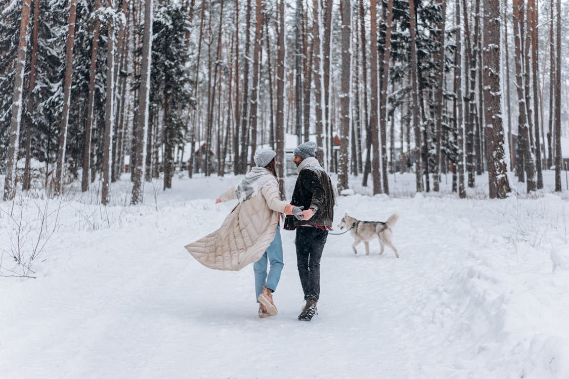 Ilmainen kuvapankkikuva tunnisteilla flunssa, kävely, lumi