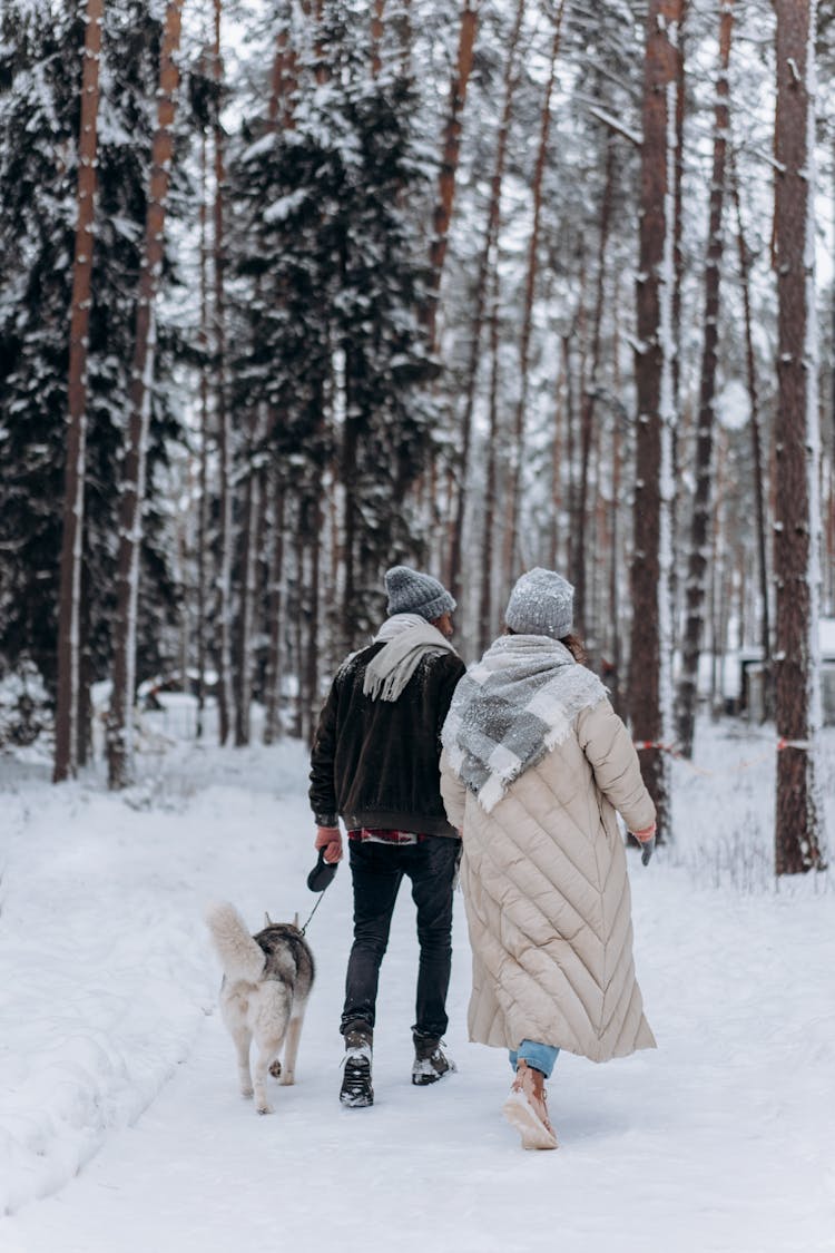 A Couple Walking Their Dog In The Snow