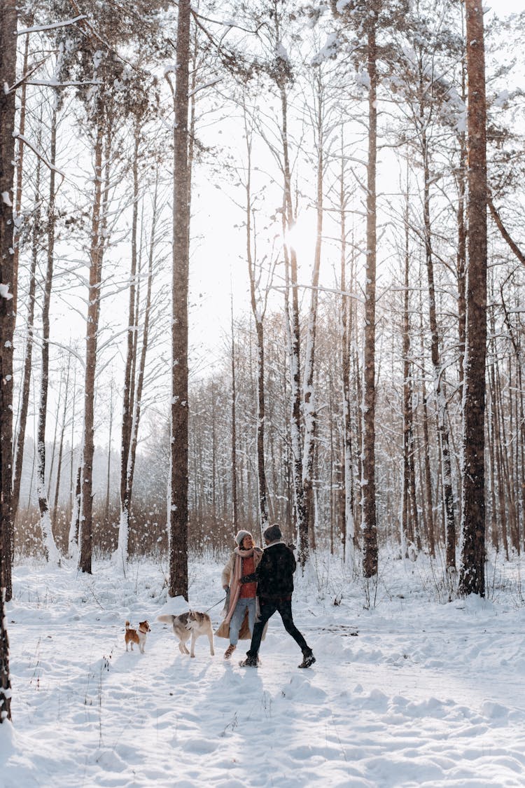 Photo Of A Couple Walking With Their Dog On The Snow