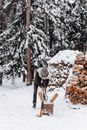 A Man Splitting Firewood with an Axe