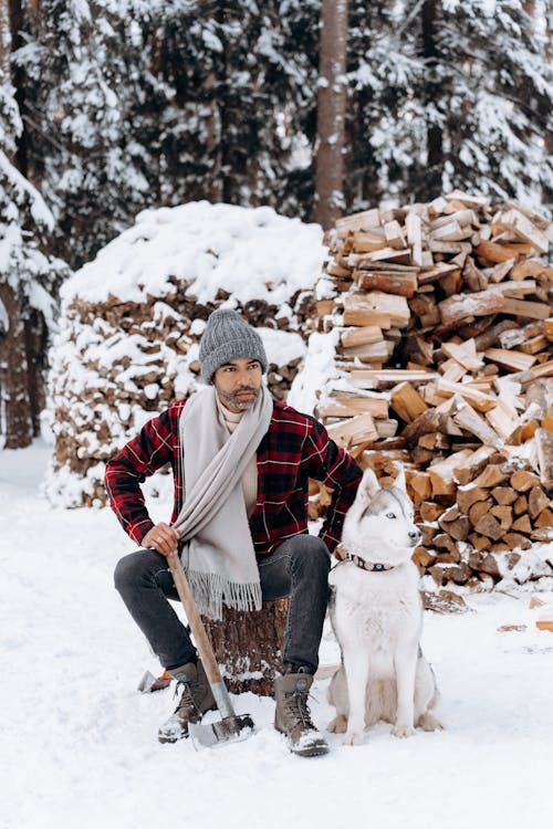 Gratis stockfoto met beanie, bijl, gehakte bossen