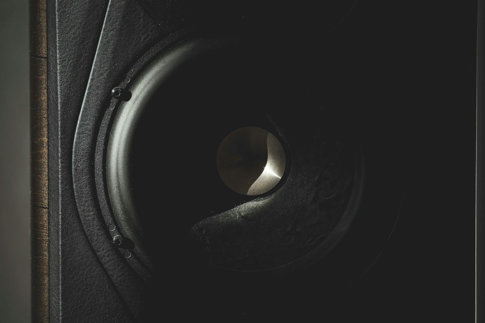 Modern acoustic audio speaker in studio