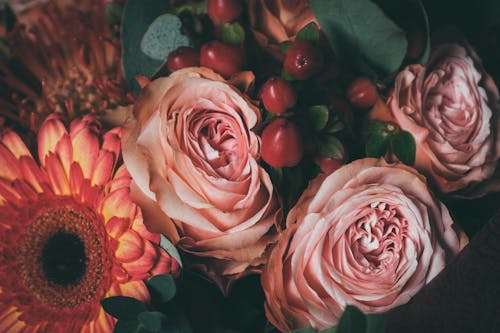 From above elegant bouquet of fresh gentle pink roses arranged with orange gerberas and red berried in daylight