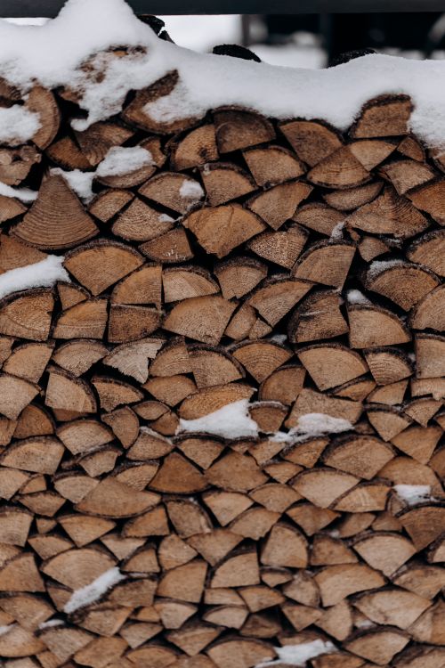 Free A detailed view of snow-dusted firewood stacked outdoors in winter. Stock Photo