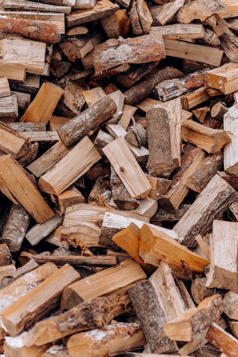 Biomass Briquettes