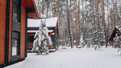 Free Winter Landscape Stock Photo